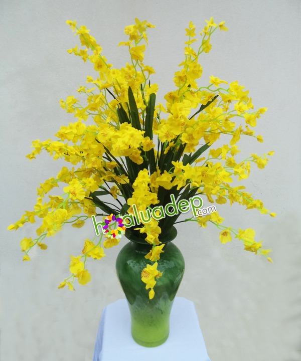 hoa lua dep - hoa vu nu vang