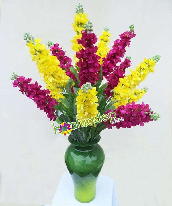 hoa phi yen lua- hoa lua dep