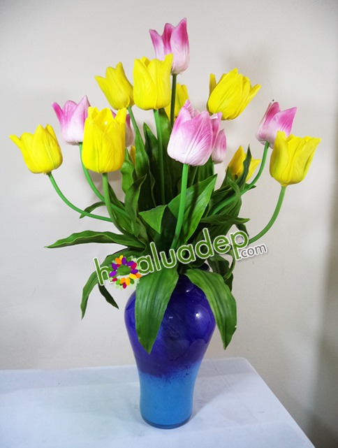 hoa tulip cao su - hoa lua dep