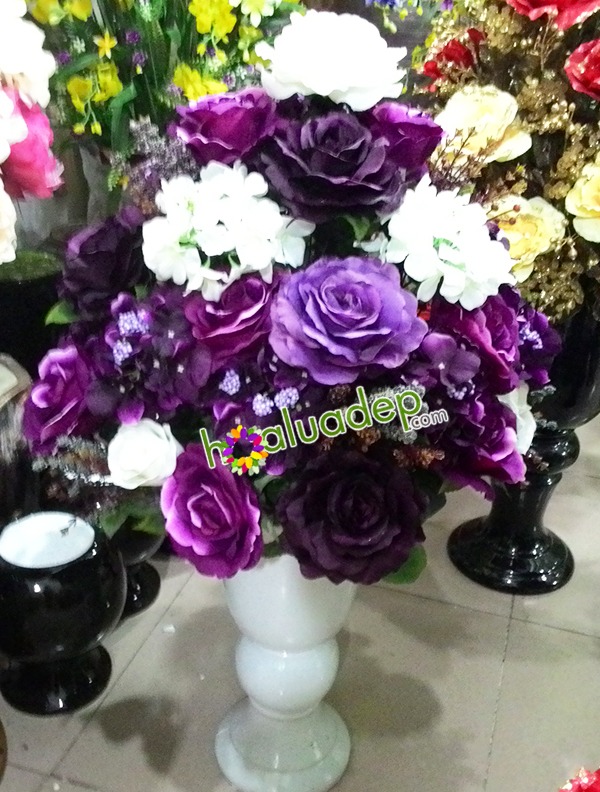 hoa hong tim - hoa lua dep