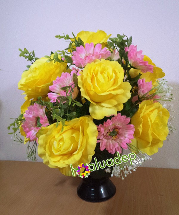 hoa lua - hoa de ban