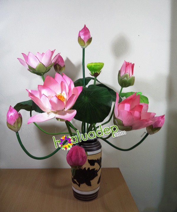 hoa sen - hoa lua dep - uyenshop