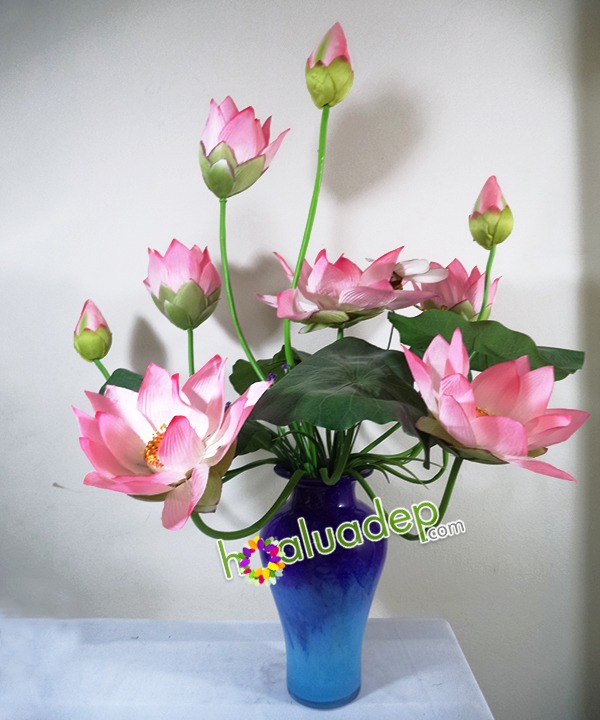 hoa sen lua - hoa lua dep