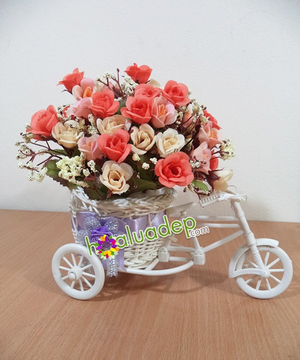 xe dap hoa - hoa gia - hoaluadep