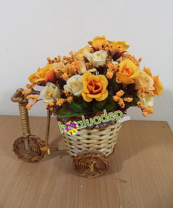 xe dap may - hoa lua dep